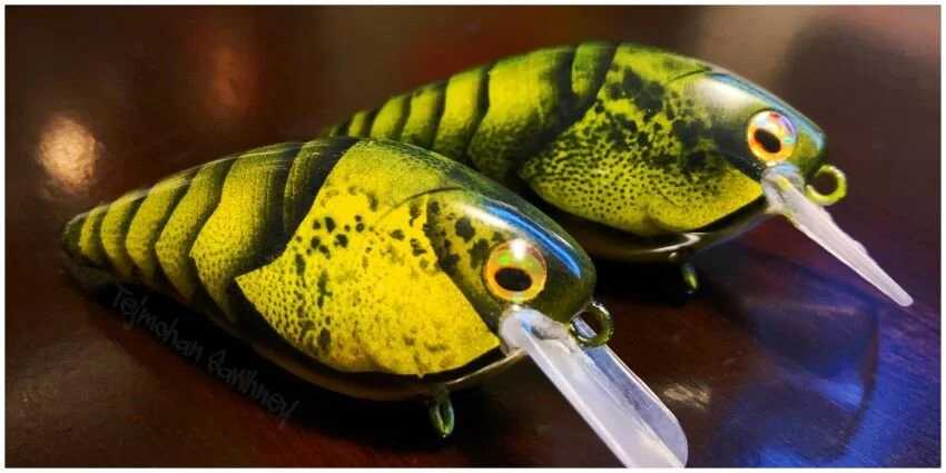 The Painter's Studio: Tej — Half Past First Cast